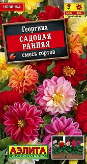 Георгина Садовая ранняя, смесь сортов, 0,3 г