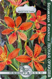 Беламканда китайская Лесная орхидея, 6 шт. Биотехника