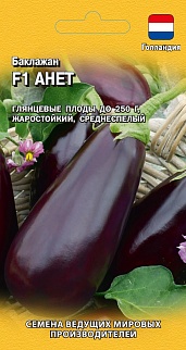 Баклажан F1 Анет 10 шт. Голландия.