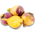 Брюква