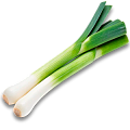 Лук порей