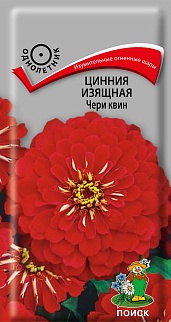 Цинния изящная Чери квин, 0,4 г