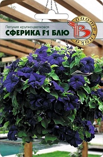 Петуния крупноцветковая Сферика F1 Блю, 10 шт. Биотехника
