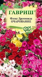 Флокс Очарование, Друммонда, смесь, 0,05 г