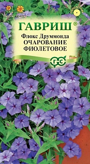 Флокс друммонда Очарование фиолетовое, 0,05 г 