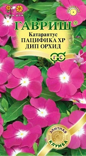 Катарантус Пацифика XP (Экстра производительность) Дип Орхид, 7 шт.