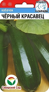 Кабачок Черный красавец, 5 шт. Сибирский сад.