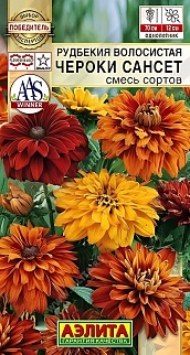 Рудбекия Чероки сансет, смесь сортов, 5 шт.