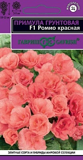 Примула Ромио красная F1 махровая, 3 шт. 
