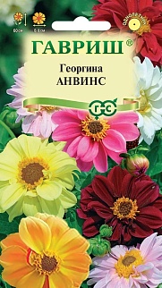 Георгина Анвинс, смесь, 0,3 г 