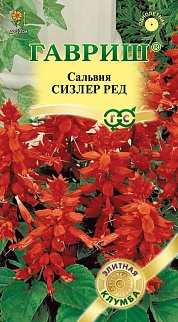 Сальвия Сизлер Ред, 5 шт. Элитная клумба. 