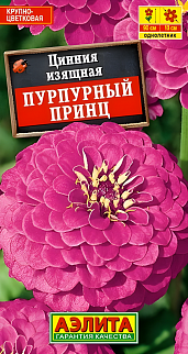 Цинния изящная Пурпурный принц, 0,3 г