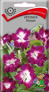 Ипомея Лотерия, 0,3 г