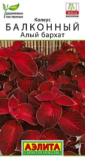 Колеус балконный Алый бархат, 5 шт. 