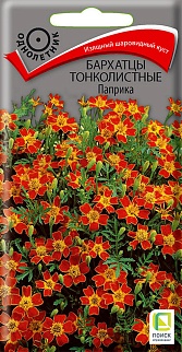 Бархатцы тонколистные Паприка, 0,1 г Поиск