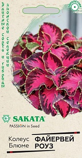 Колеус Файервей Роуз, 5 шт. Саката.