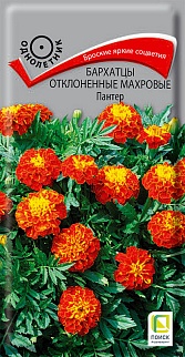 Бархатцы отклоненные махровые Пантер, 0,2 г