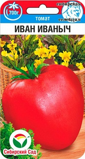 Томат Иван Иваныч, 20 шт. Сибирский сад