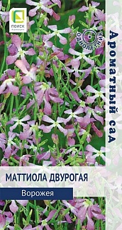 Маттиола двурогая Ворожея, 0,3 г Ароматный сад