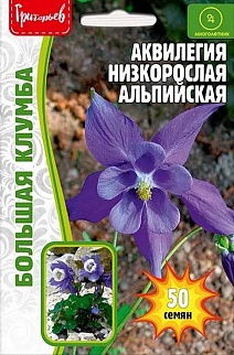 Аквилегия низкорослая Альпийская, 50 шт.