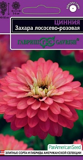 Цинния Захара лососево-розовая, 6 шт. Эксклюзив. 