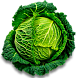 Капуста савойская