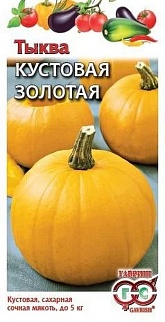 Тыква Кустовая Золотая, 1 г