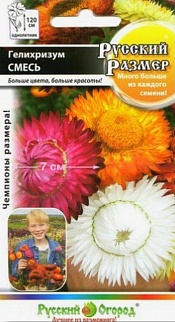 Гелихризум Русский Размер, смесь, 100 шт. Русский огород
