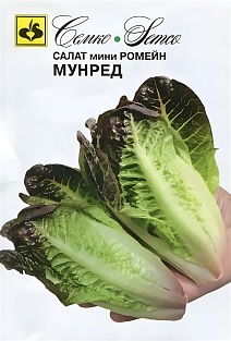 Салат мини ромейн Мунред, 20 шт.