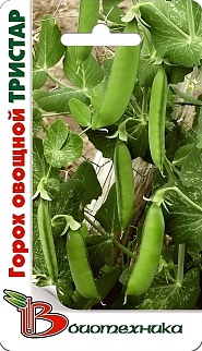 Горох овощной Тристар, 8 г. Биотехника.
