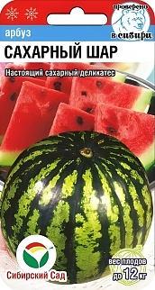 Арбуз Сахарный шар, 5 шт. Сибирский сад.