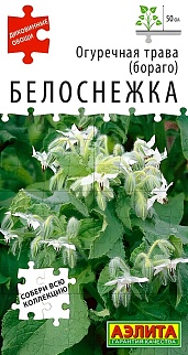 Огуречная трава Белоснежка, 0,3 г