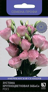 Эустома крупноцветковая ЭйБиСи роуз, 10 шт. (Семена профи)
