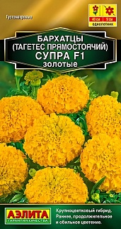 Бархатцы Супра золотые F1 прямостоячие, 7 шт. 