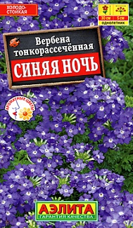 Вербена Синяя ночь, 0,1 г
