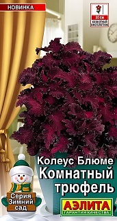 Колеус Комнатный трюфель, 5 шт.