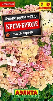 Флокс друммонда Крем-брюле, смесь окрасок, 0,3 г