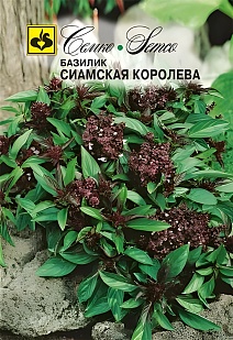 Базилик Сиамская королева, 0,25 г