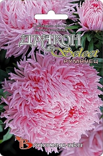 Астра китайская Дракон селект Румянец, 100 шт. Биотехника