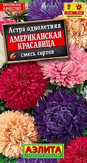 Астра Американская красавица, смесь окрасок, 0,2 г 