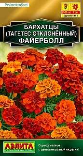 Бархатцы Файерболл отклоненные, 5 шт.