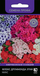 Флокс друммонда Этни Микс, 10 шт. Семена профи.