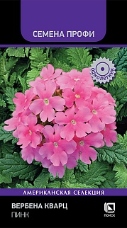 Вербена Кварц Пинк, 10 шт. Семена Профи