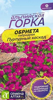 Обриета многолетняя Пурпурный каскад, 0,05 г. Альпийская горка.