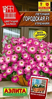 Петуния Городская F1, утренняя, 7 шт.