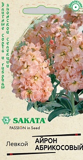 Левкой Айрон абрикосовый, 5 шт. Саката.