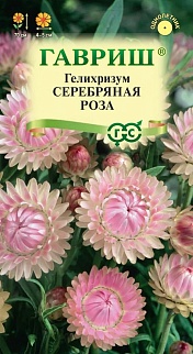 Гелихризум Серебряная роза, 0,01 г 