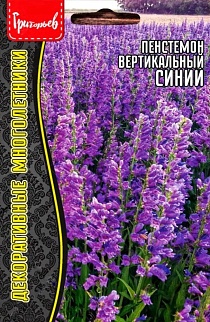 Пенстемон вертикаль Penstemon strictus blue (Пенстемон строгий синий), 0,1г