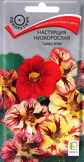 Настурция низкорослая Танец огня, 1 г.