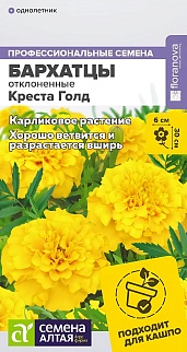 Бархатцы махровые Креста Голд, 5 шт. 